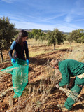 Two people sampling in a field.