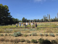Group of people on a field waving.