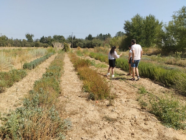 Two people in a field.